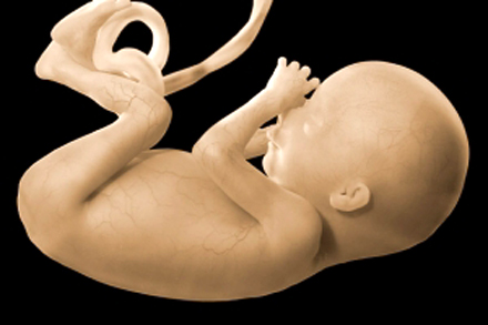 100620.fetus-at-20weeks.jpg