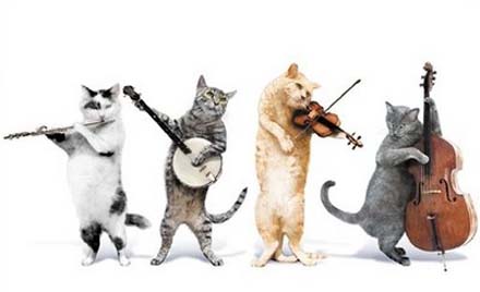 091116.jingle.cats.jpg